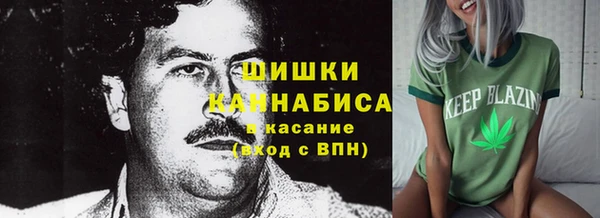 прущие грибы Алексеевка