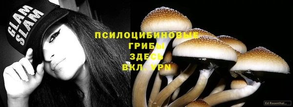меф Нягань