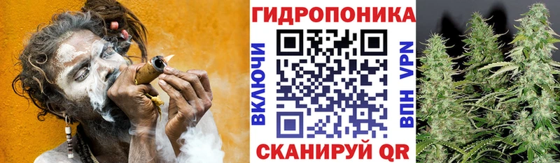Конопля сатива  Сим 